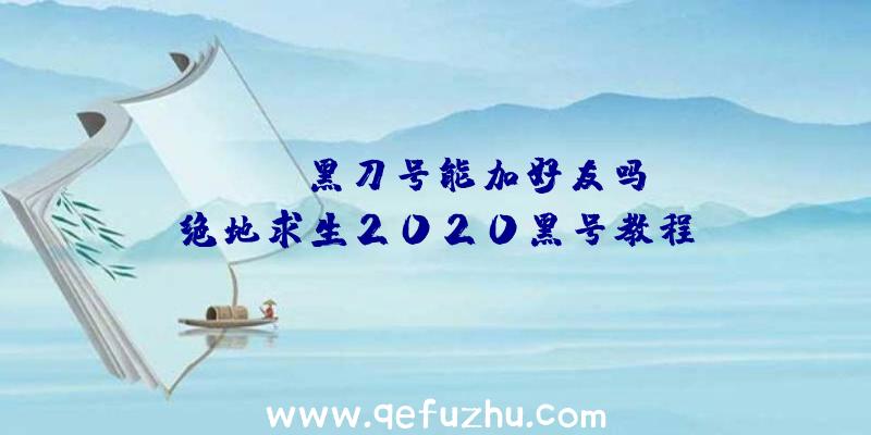 「pubg黑刀号能加好友吗」|绝地求生2020黑号教程